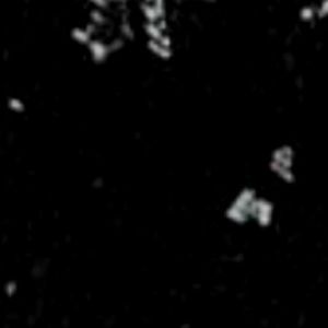 Meet your Posher, Vincent